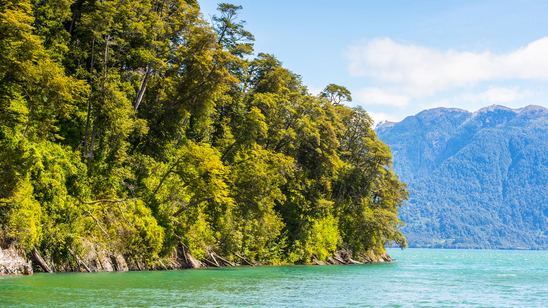 Forested mountains overlooking the water in Vicente Perez Rosales National Park, Chile