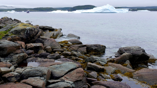 Icebergs and fishing boat in a calm foggy bay in St Anthony, Newfoundland, Canada