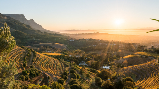 Sunset view over vineyards and mountains in the Constantia Wine Valley, near Cape Town, South Africa