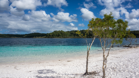 Lake Mackenzie, Faser Island, Queensland, Australia