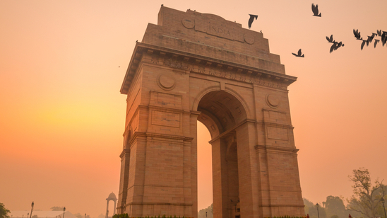 birds fly over india gate, new delhi, india