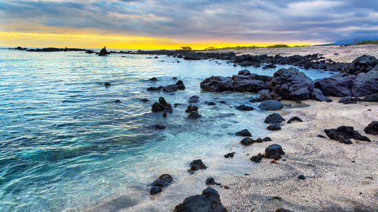 Black rocks dot the beach on Isabela Island, part of Ecuador&s Galapagos Islands