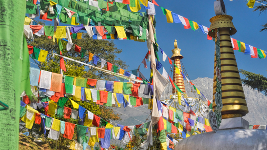 Colorful buddhist prayer flags in town of Dharamshala, Himachal Pradesh, India
