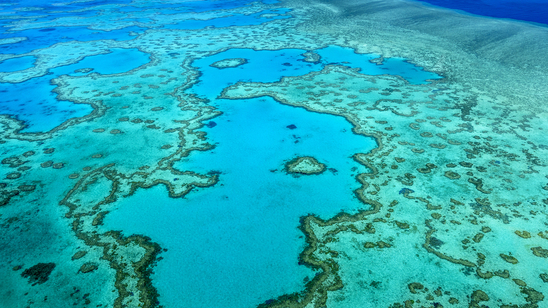 Heart Reef, Great Barrier Reef, Whitsundays, Queensland, Australia