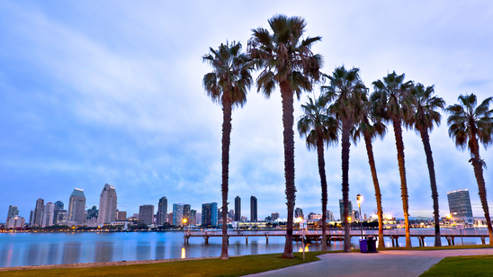 A view of downtown San Diego skyline with palm trees.