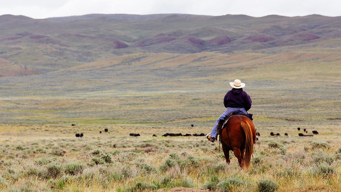 Read more about the article Where was Yellowstone filmed? The real-life settings​ you can visit