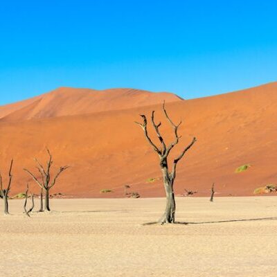 Namibian Discovery
