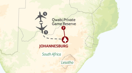 Qwabi Private Game Reserve African Safari Experience - Image 2